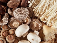 CÁC LOẠI NẤM ĂN ĐƯỢC Ở VIỆT NAM