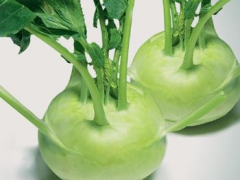 CÔNG TY CUNG CẤP DỊCH VỤ SUẤT ĂN CÔNG NGHIỆP Ở BÌNH DƯƠNG