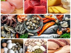 Nhóm thực phẩm giàu protein