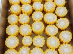 Thực đơn bữa sáng