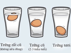Cách nhận biết một số thực phẩm tươi hay hỏng