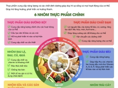 CÁC NHÓM THỰC PHẨM CHÍNH CUNG CẤP DƯỠNG CHẤT CHO CƠ THỂ