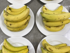 NHỮNG THỰC PHẨM GIÁ RẺ TỐT CHO SỨC KHỎE