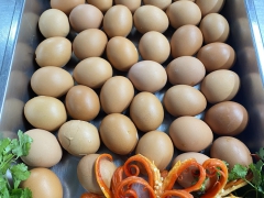 CUNG CẤP SUẤT ĂN CÔNG NGHIỆP Ở DĨ AN BÌNH DƯƠNG