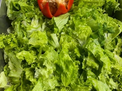 CÁC LOẠI RAU GIÀU DINH DƯỠNG TỐT CHO SỨC KHỎE