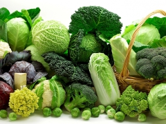 CÔNG TY CHUYÊN CUNG CẤP SUẤT ĂN CÔNG NGHIỆP Ở  BẾN CÁT BÌNH DƯƠNG