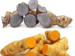 Các Loại Kháng sinh Tự nhiên