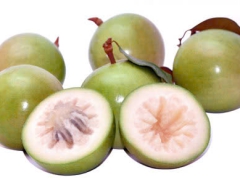 Tác dụng và lợi ích của quả vú sữa