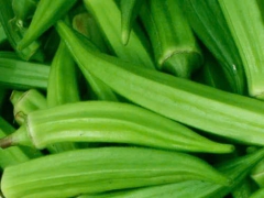 CUNG CẤP SUẤT ĂN CÔNG NGHIỆP Ở BẾN CÁT