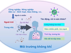 Hạt vi nhựa và những điều cần biết