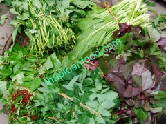 Chỉ tiêu kiểm tra nguyên liệu đầu vào cho các loại rau củ quả