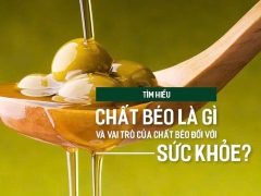 CHẤT BÉO - KẺ THÙ HAY NGƯỜI BẠN CỦA SỨC KHỎE?