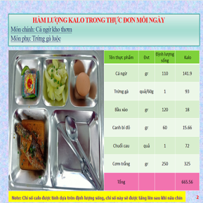 Khay mẫu 4 