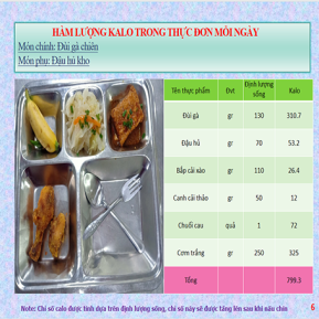 Khay mẫu 5 