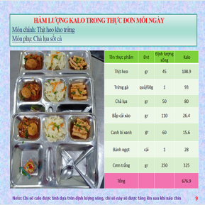 Khay mẫu 8 