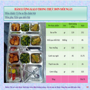 Khay mẫu 9