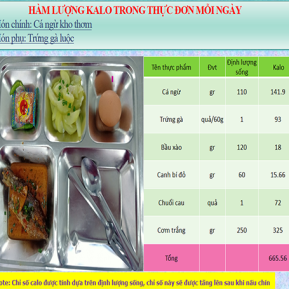 Khay Mẫu 1