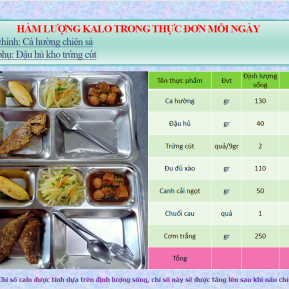 khay mẫu 3 