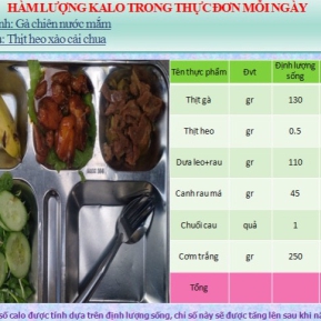 Khay mẫu 2 