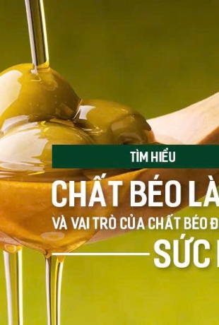 CHẤT BÉO - KẺ THÙ HAY NGƯỜI BẠN CỦA SỨC KHỎE?