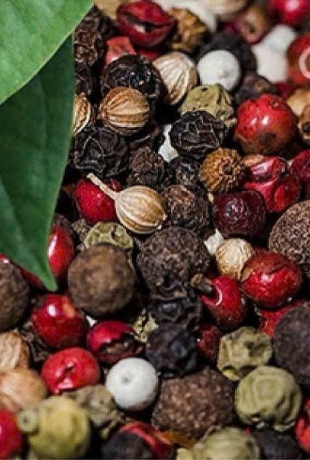 Công dụng của hạt tiêu trong chế biến thực phẩm